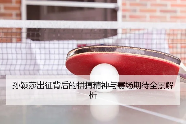 孙颖莎出征背后的拼搏精神与赛场期待全景解析