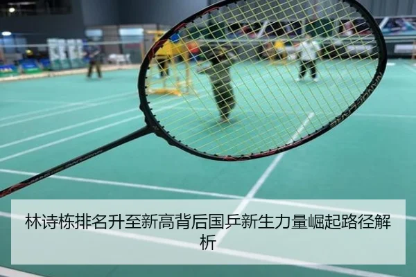林诗栋排名升至新高背后国乒新生力量崛起路径解析