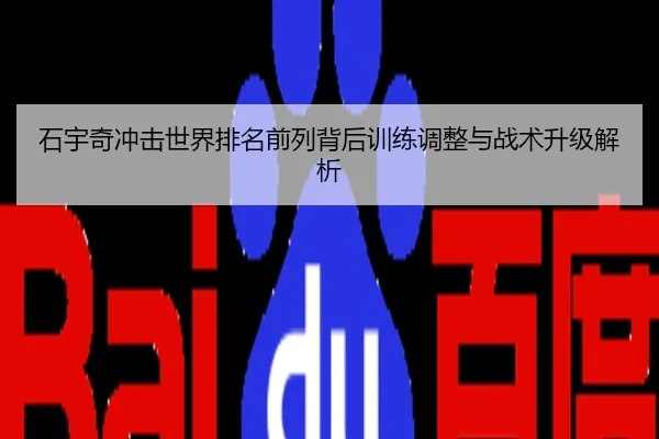 石宇奇冲击世界排名前列背后训练调整与战术升级解析