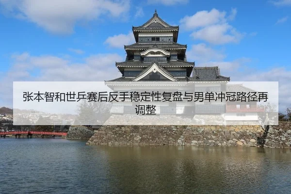 张本智和世乒赛后反手稳定性复盘与男单冲冠路径再调整