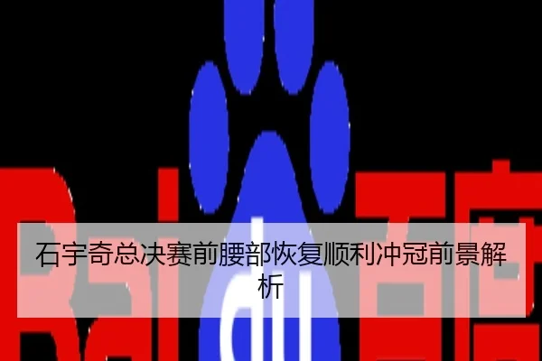 石宇奇总决赛前腰部恢复顺利冲冠前景解析